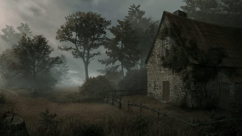 NSW Saint Kotar (Nintendo Switch, 2023)