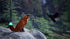 PS5 Spirit Of The North 2 (Sony PlayStation 5, 2025)