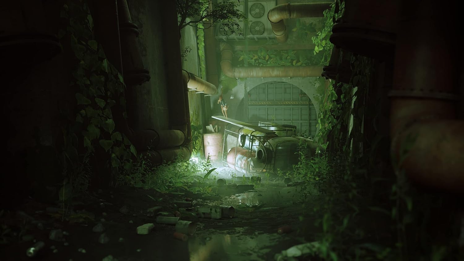 Stray Xbox Series X & Xbox One, Cat Adventure Game