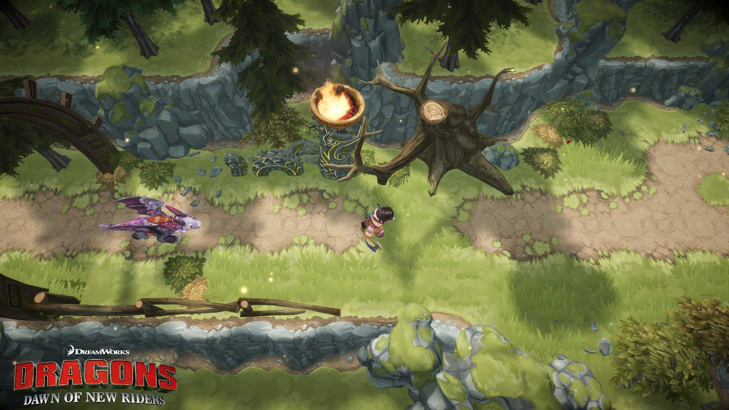 How To Train Your Dragons: Dawn of New Riders - PlayStation 4