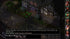 XB1 Baldur's Gate: Enhanced Edition (Microsoft Xbox One, 2019)