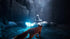 Spirit of the North Nintendo Switch, Fantasy Puzzle Video Game