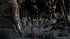 Telltale's The Walking Dead The Definitive Series - Xbox One