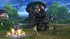 Final Fantasy X / X-2 - Nintendo Switch