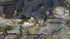 Disco Elysium - The Final Cut - Xbox One
