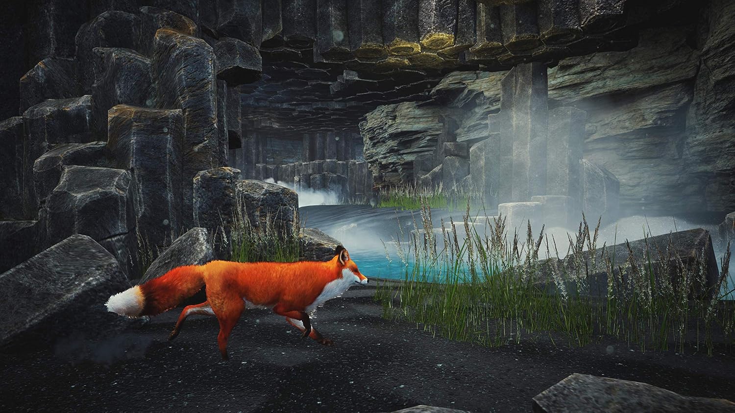 Spirit of The North - PlayStation 5